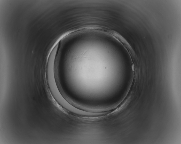X0000086750860200704131149