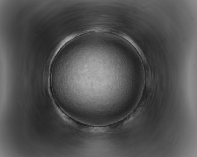 X0000086750861200704131149