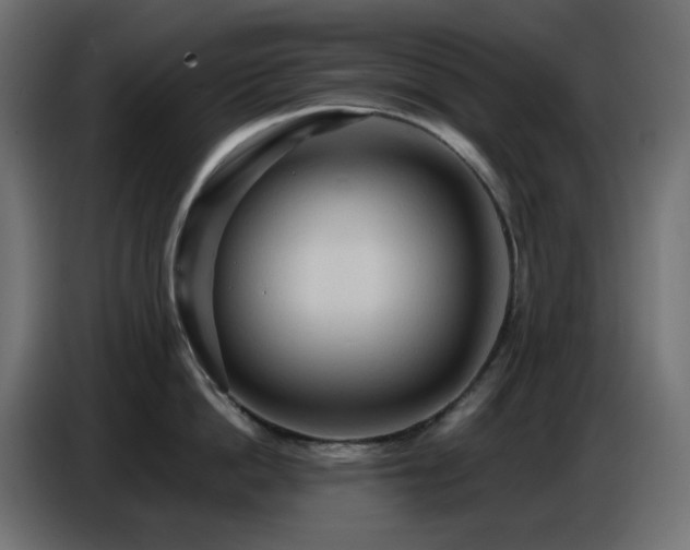 X0000086750862200704131149