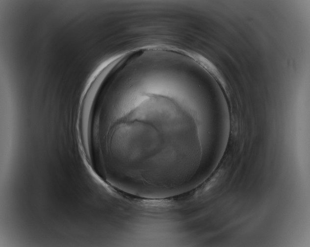 X0000086750863200704131149