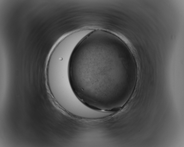 X0000086750864200704131149