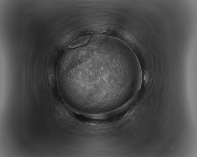 X0000086750867200704131149