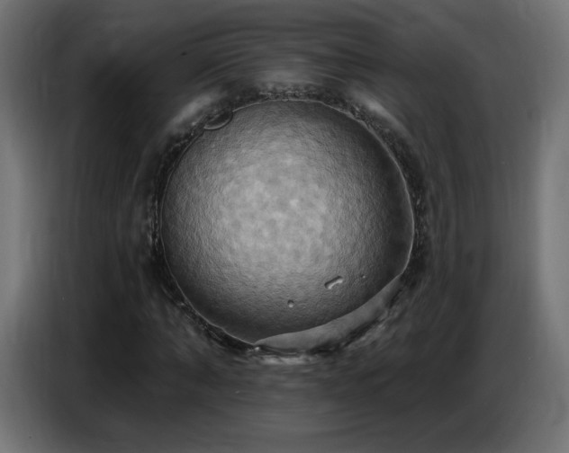 X0000086750870200704131149