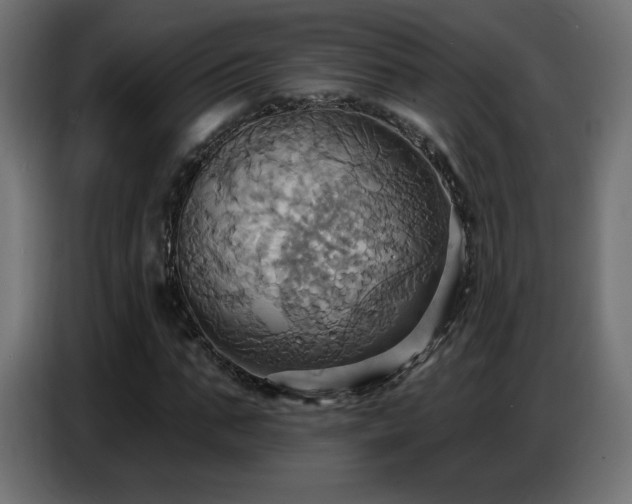 X0000086750871200704131149