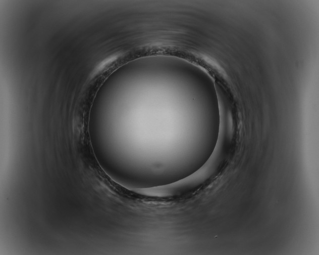 X0000086750872200704131149