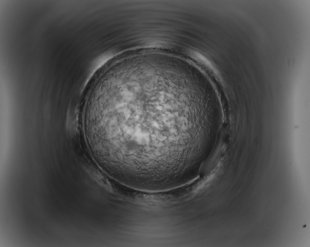 X0000086750875200704131149