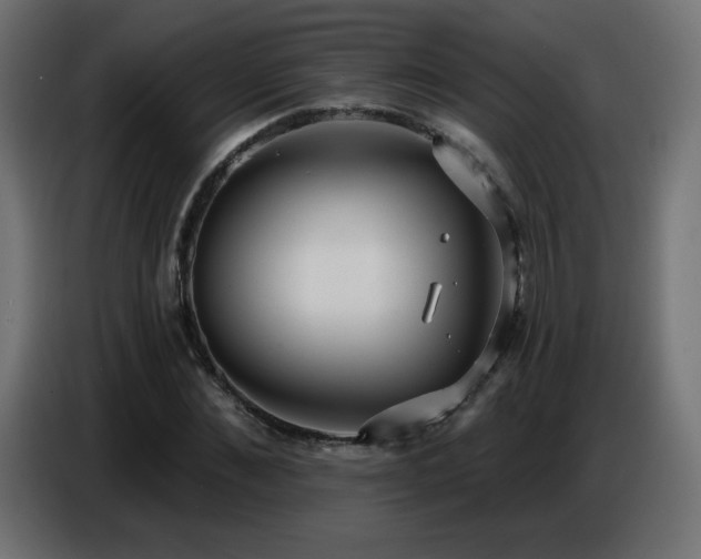 X0000086750876200704131149