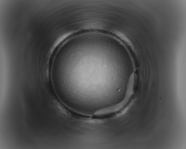 X0000086750877200704131149