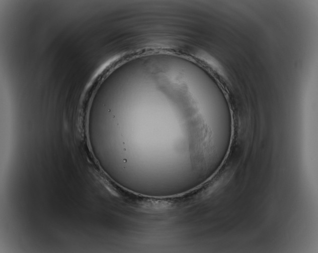 X0000086750878200704131149