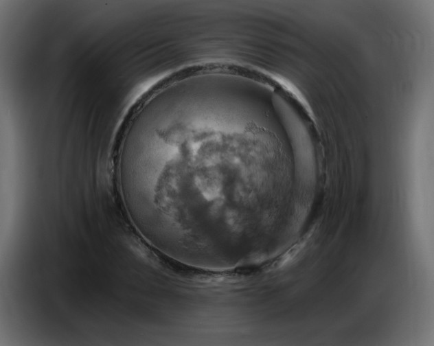 X0000086750879200704131149