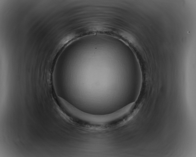 X0000086750881200704131148