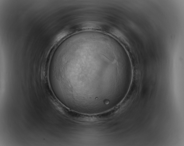 X0000086750882200704131148