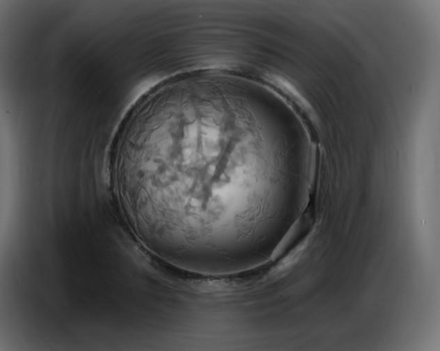 X0000086750883200704131148