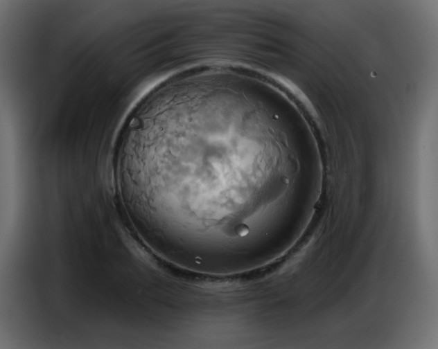 X0000086750887200704131148