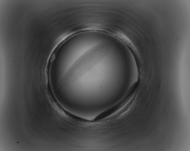 X0000086750892200704131148
