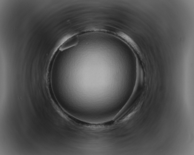 X0000086750893200704131148