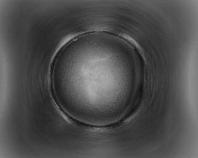 X0000086750894200704131148