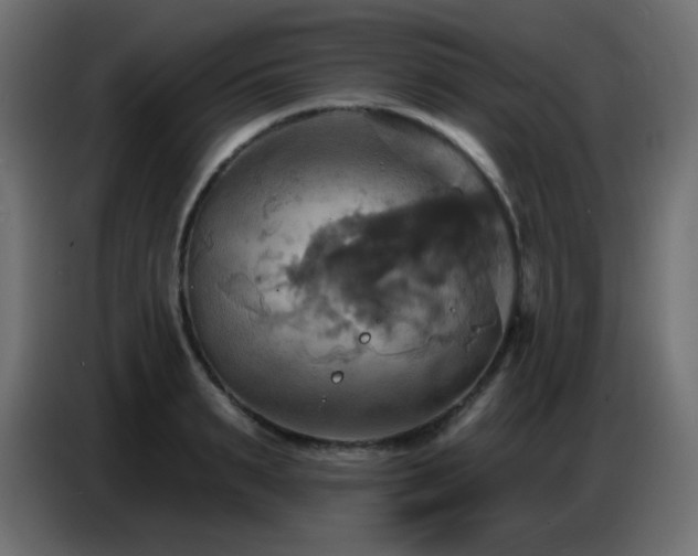X0000086750895200704131148