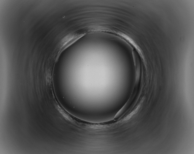 X0000086750897200704131148