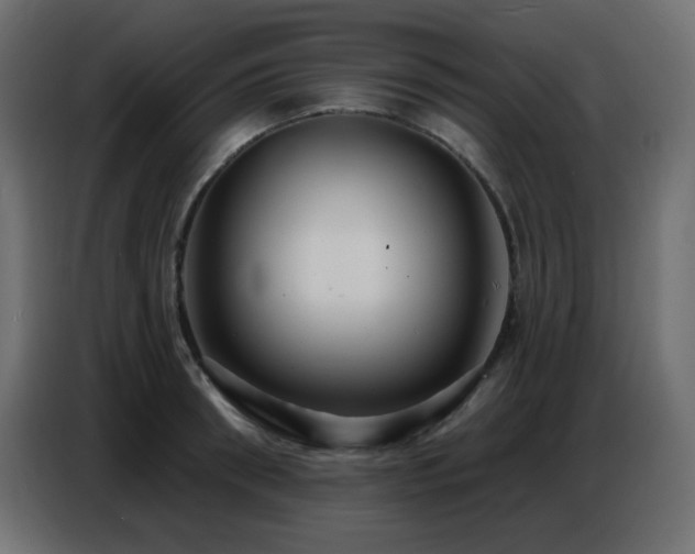X0000086750898200704131148