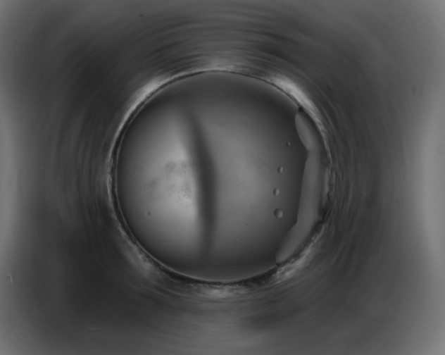 X0000086750899200704131148