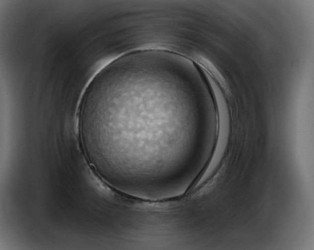 X0000086750900200704131148