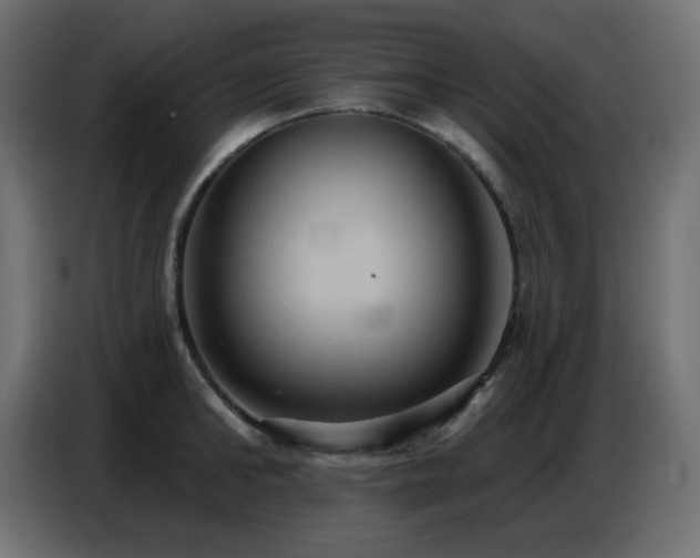 X0000086750902200704131148