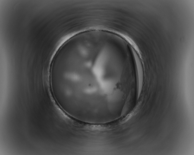 X0000086750903200704131148