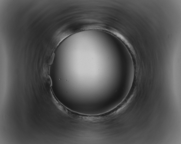X0000086750905200704131148