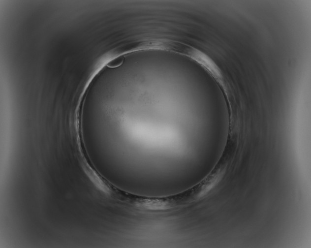 X0000086750907200704131148