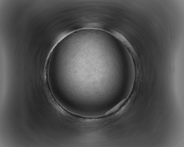 X0000086750908200704131148