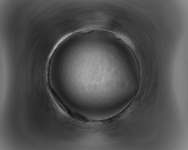 X0000086750912200704131148
