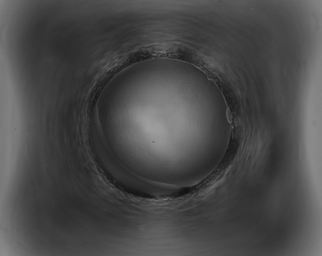 X0000086750913200704131147