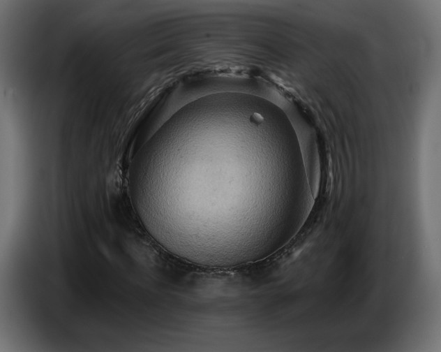 X0000086750916200704131147