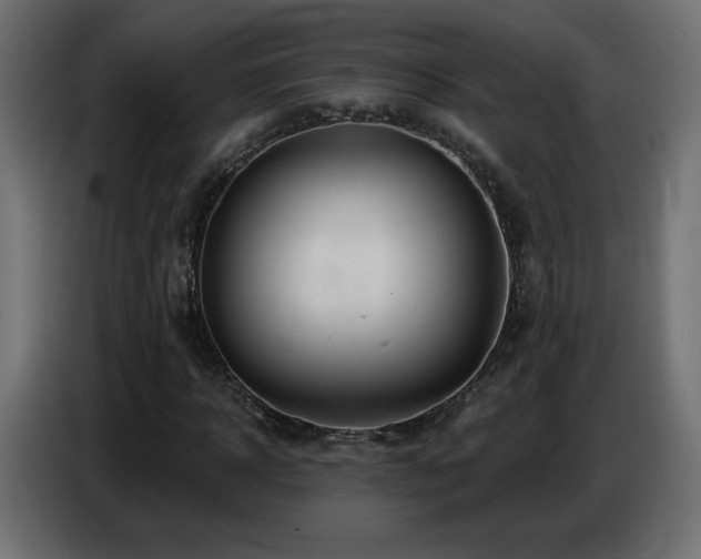 X0000086750918200704131147