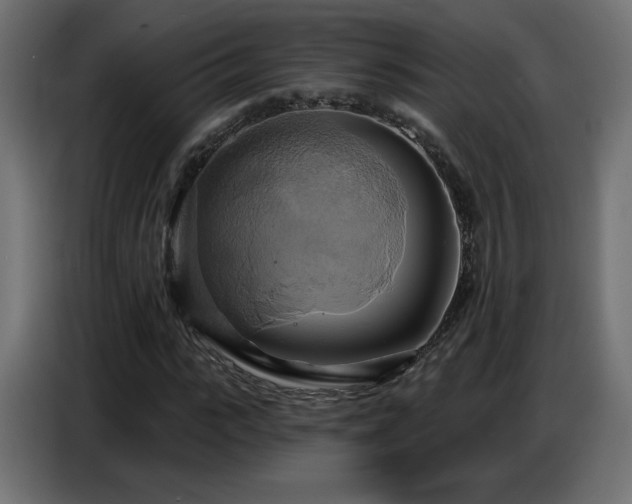 X0000086750919200704131147