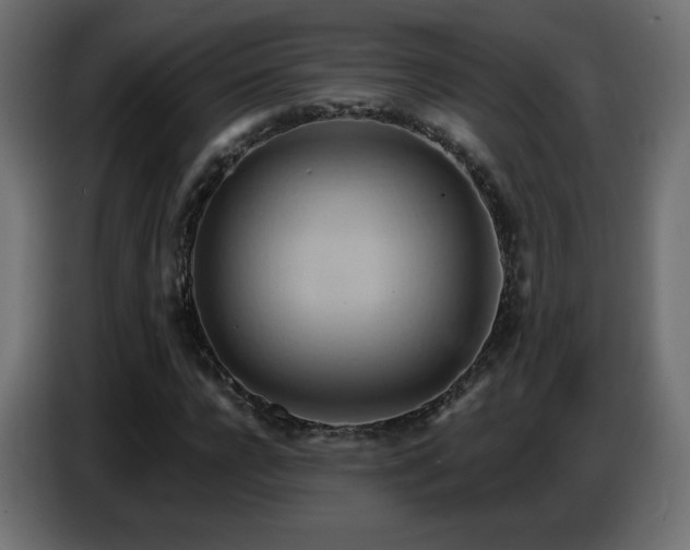 X0000086750920200704131147