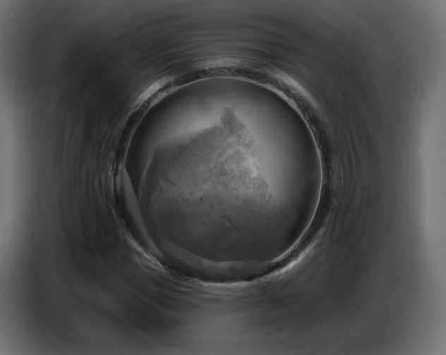 X0000086750921200704131147