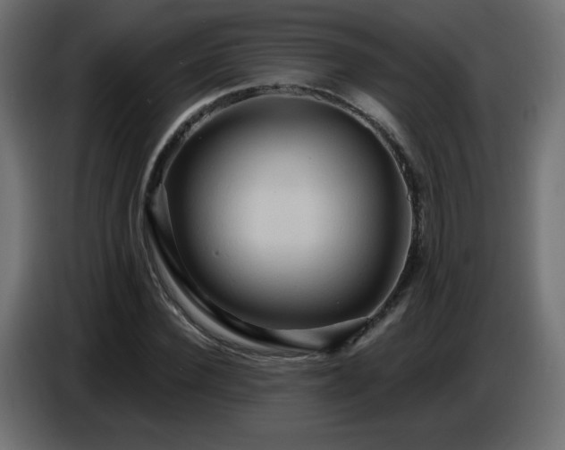 X0000086750924200704131148