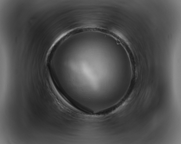 X0000086750925200704131148