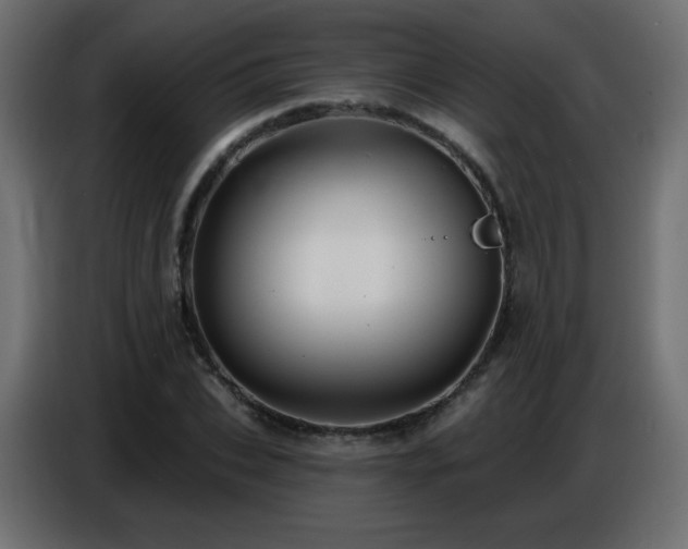 X0000086750927200704131148