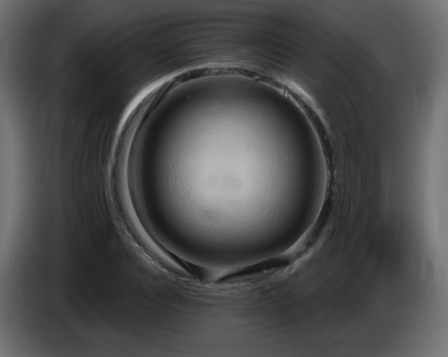 X0000086750928200704131148