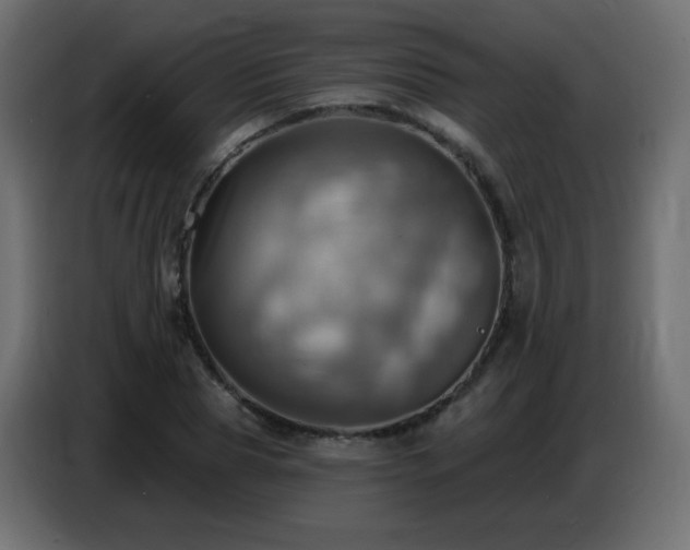 X0000086750929200704131148