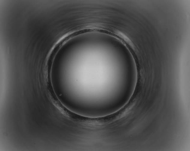 X0000086750931200704131148