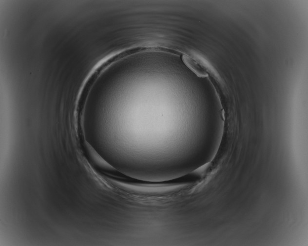 X0000086750932200704131148