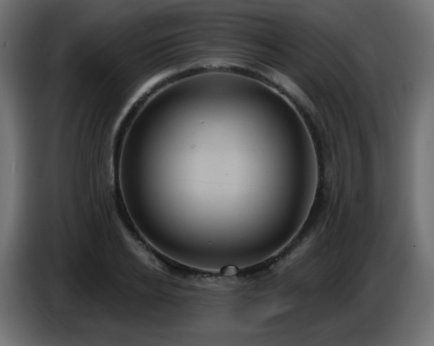 X0000086750934200704131148