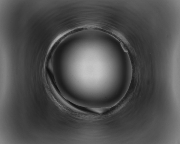 X0000086750936200704131148