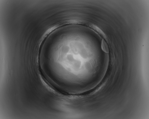 X0000086750938200704131148