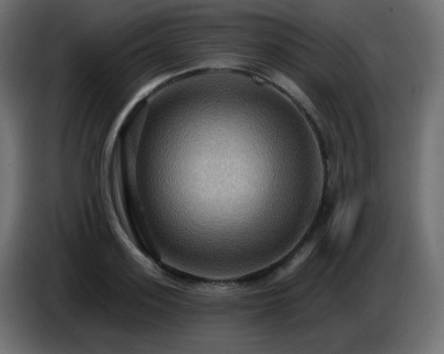 X0000086750939200704131148