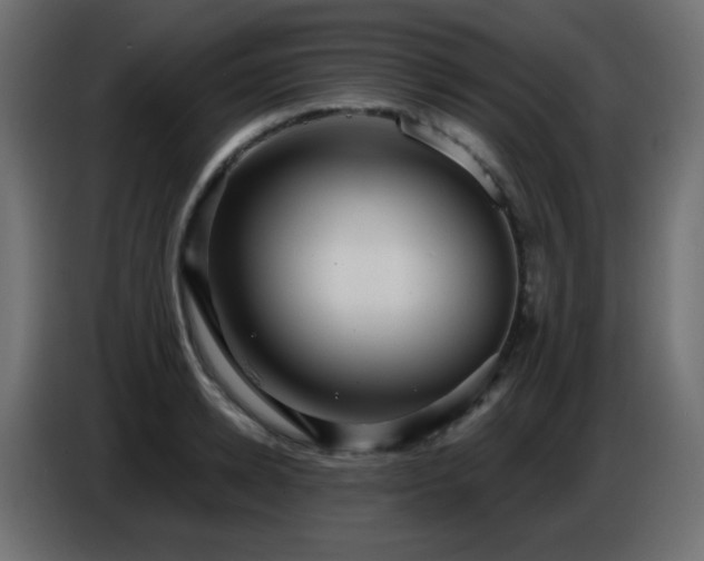 X0000086750942200704131148